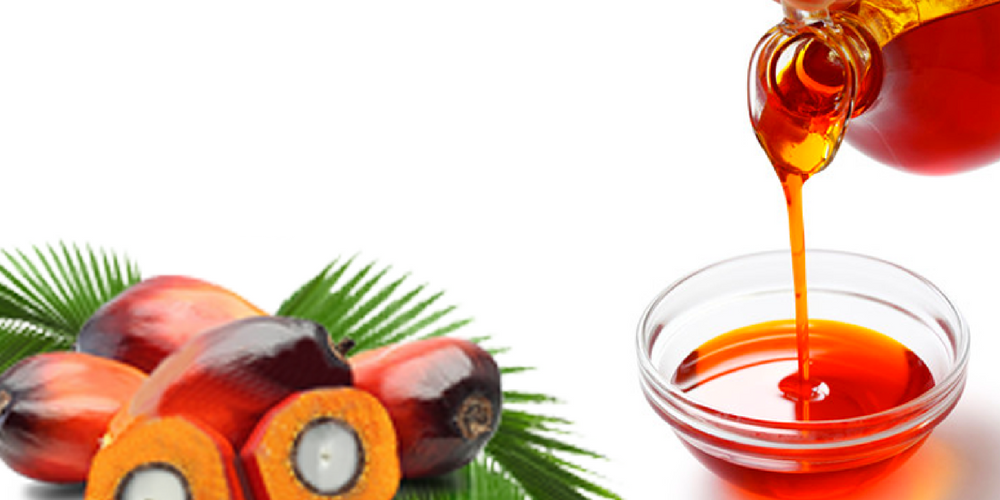 palmoil-1
